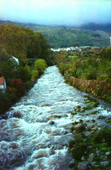 rivière en automne