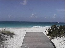 Turks And Caicos... CRAPLAND Links Palm Tree