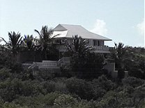 Turks And Caicos... CRAPLAND Links Palm Tree