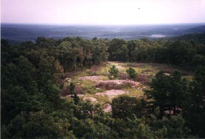 Looking down on a glade from Stiegal Tower