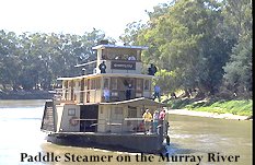 Paddlesteamer