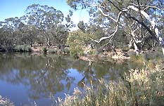 The Wimmera River