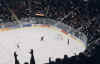 Empty net.jpg (63536 bytes)