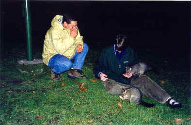 Chris and Mike with the possum