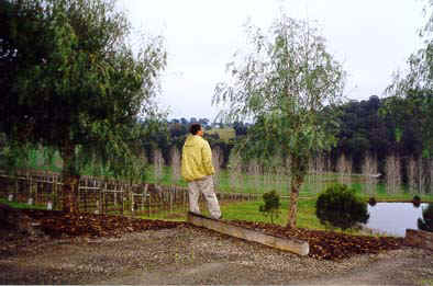 Chris and the vineyard at Tarra Warra