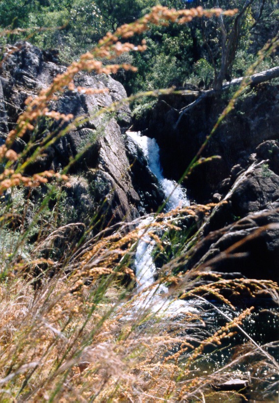 Falls at McKenzie