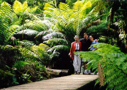 Bunin three at Melba Gully