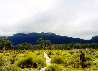 To Narcissus Hut