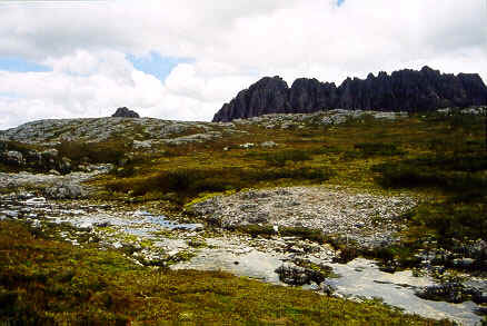 Cradle Mountain Stream