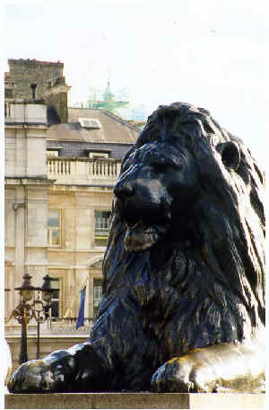 Lion at Trafalgar Square