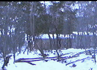 View from Window, Summit Ridge Lodge