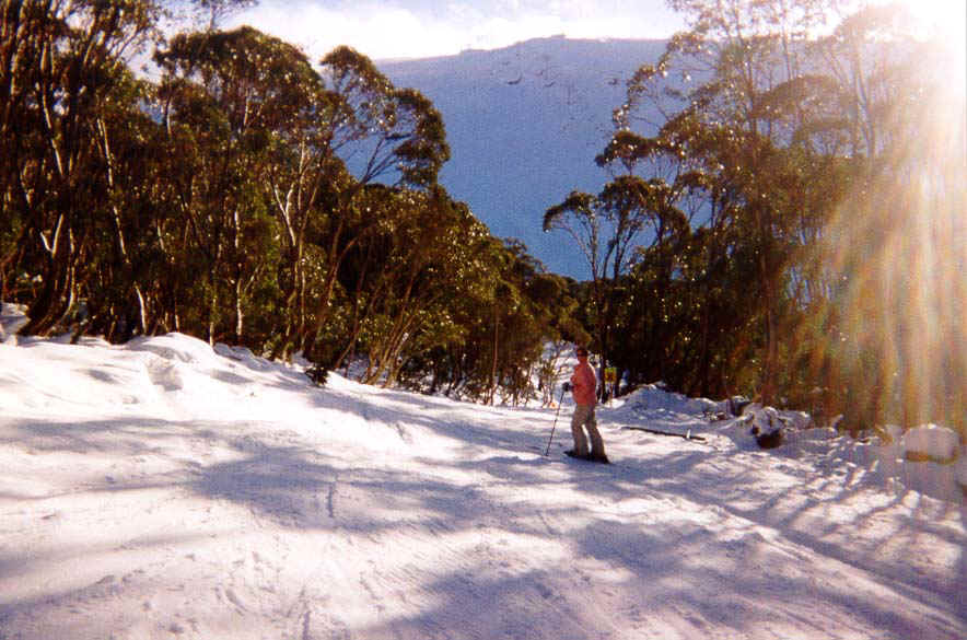 Mel Skiing Home