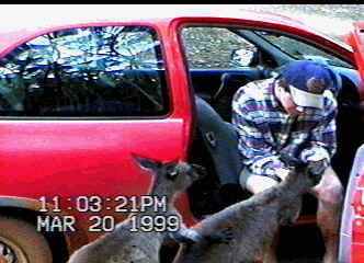 Mike with Roos