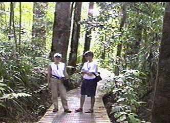 Mel and Mike in Kauri Forest