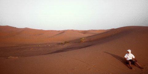 Dune del Deserto