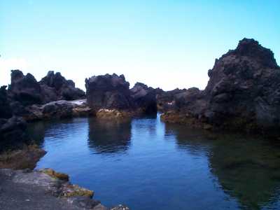 Natural swimming pool