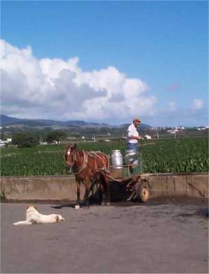 Terceira