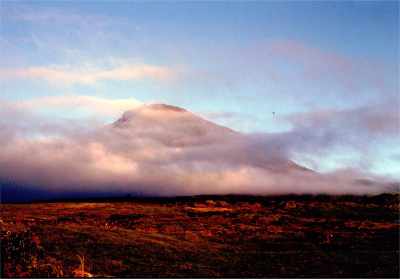 Pico, the volcan