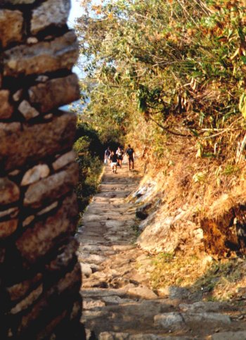 Trail down to Macchu Picchu