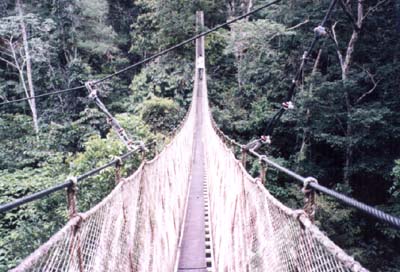 The longest walkway