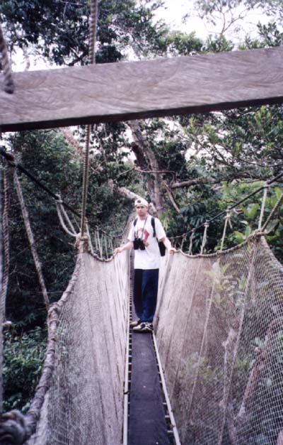 Me in the rainforest canopy