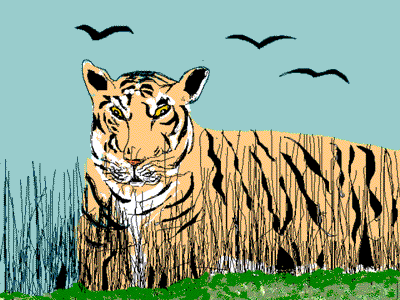 tiger gif by uday patel