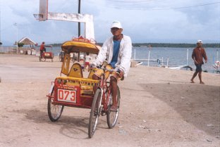 jeeptrike4.jpg (16691 bytes)