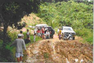 Excursion dans la jungle