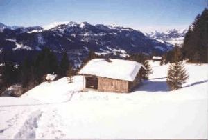 Le chalet en hiver (avec bien peu de neige)