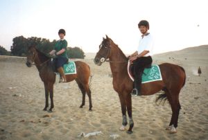 A cheval autours des pyramides d'Egypte