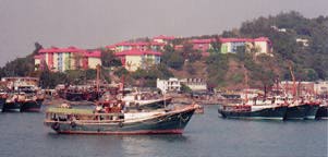 Lamma Island