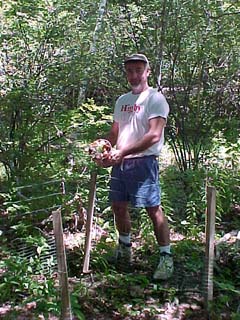 First compost