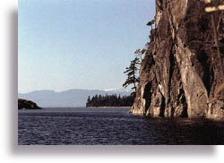 Pacific Northwest coastline