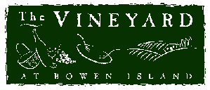 Vineyard