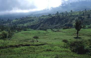 Near Jaji, 38 km west of Merida