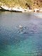 Jim snorkeling over blue hole