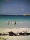 Jim and Brian snorkeling off Compass Cay