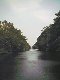 The Dismal Swamp Canal