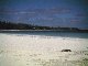 Wide crescent beach at Governor's Harbour near defunct Club Med