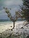 Beach at Rum Cay