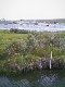 Marshy, low lying water in Tangier