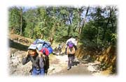 Porters Carrying Heavy Loads