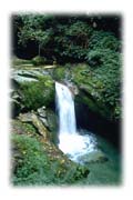 Waterfall Along Trail