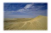 Sand Dunes Near Umm Said, Qatar