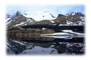 Lake Reflection, Columbia Icefields Parkway, Jasper National Park, ALberta