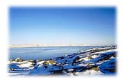 Tundra Near the Village of Cape Dorset, Baffin Island, Northwest Territories