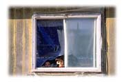 Children Looking Through Window, Big Trout Lake, Northern Ontario