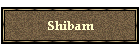 Shibam