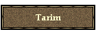 Tarim