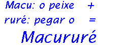 Macu:o peixe + rur:pegar o = Macurur